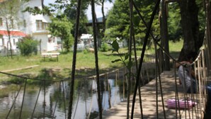 Un puente de madera cruza un cuerpo de agua tranquilo, rodeado de vegetación y un edificio blanco con techo rojo al fondo.