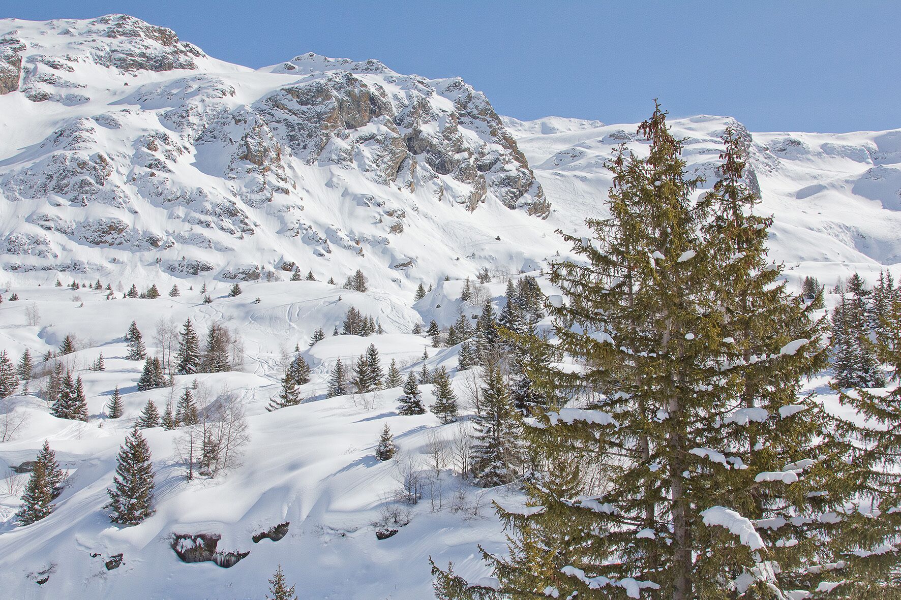 A snow-covered mountain landscape with rocky outcrops and evergreen trees.