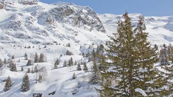 Paesaggio montano innevato con affioramenti rocciosi e alberi sempreverdi.