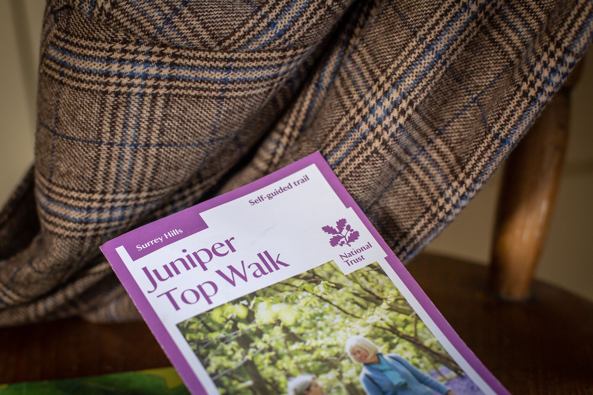A brochure titled "Juniper Top Walk" on a wooden table.