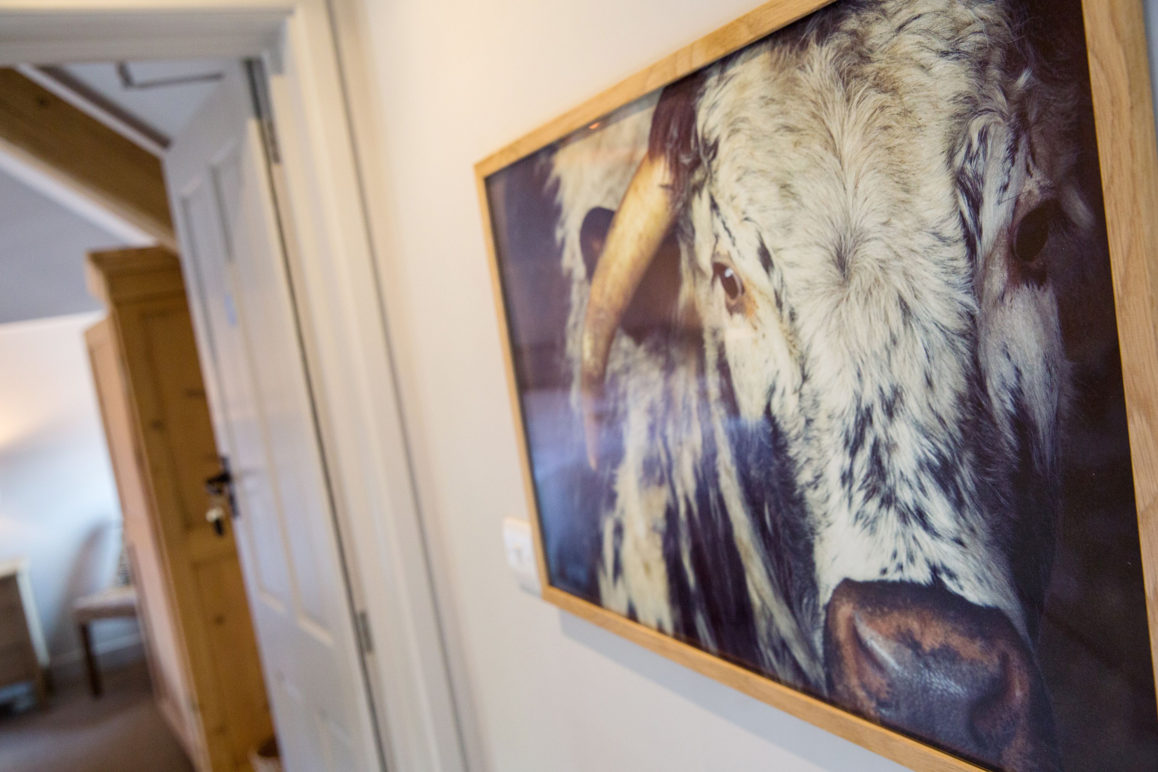 Een ingelijste foto van dieren in het wild op een muur.