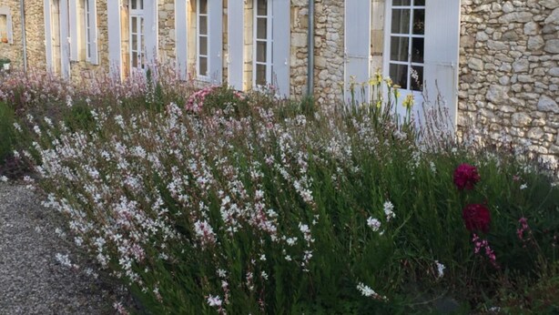 A stone building with multiple windows and shutters, surrounded by a gravel path and flowering plants. - La Girarde (Saint-Quentin-de-Caplong)