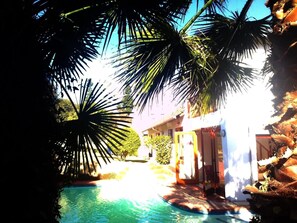A pool area with clear water, surrounded by palm trees and a building with a white exterior. - Mizizi House of Sandton Bed & Breakfast (Sandton)