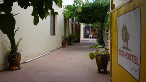 A narrow alleyway with potted plants and a hostel sign.