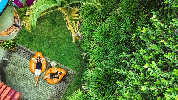 A rooftop garden with two orange bean bags, a hammock, and lush greenery. - The Pelican Larry Hostel (Cali)