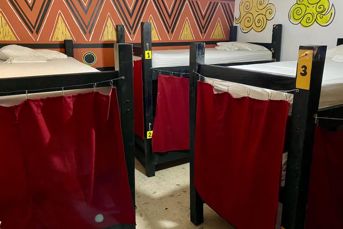 A hostel room with bunk beds, numbered beds, and a patterned wall.