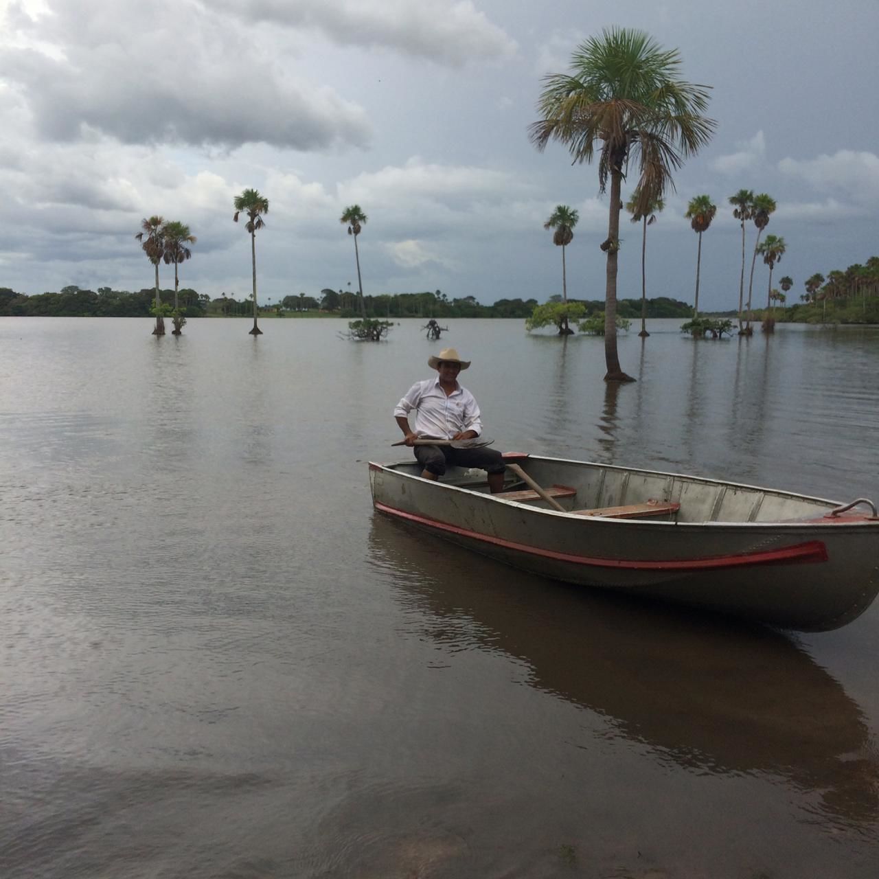 A man in a boat on a calm body of water with palm trees in the background.