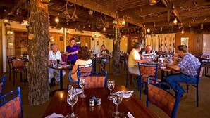 A rustic dining area with wooden tables and chairs, surrounded by trees and hanging lights. - Arkaroola Wilderness Sanctuary (Arkaroola Village)