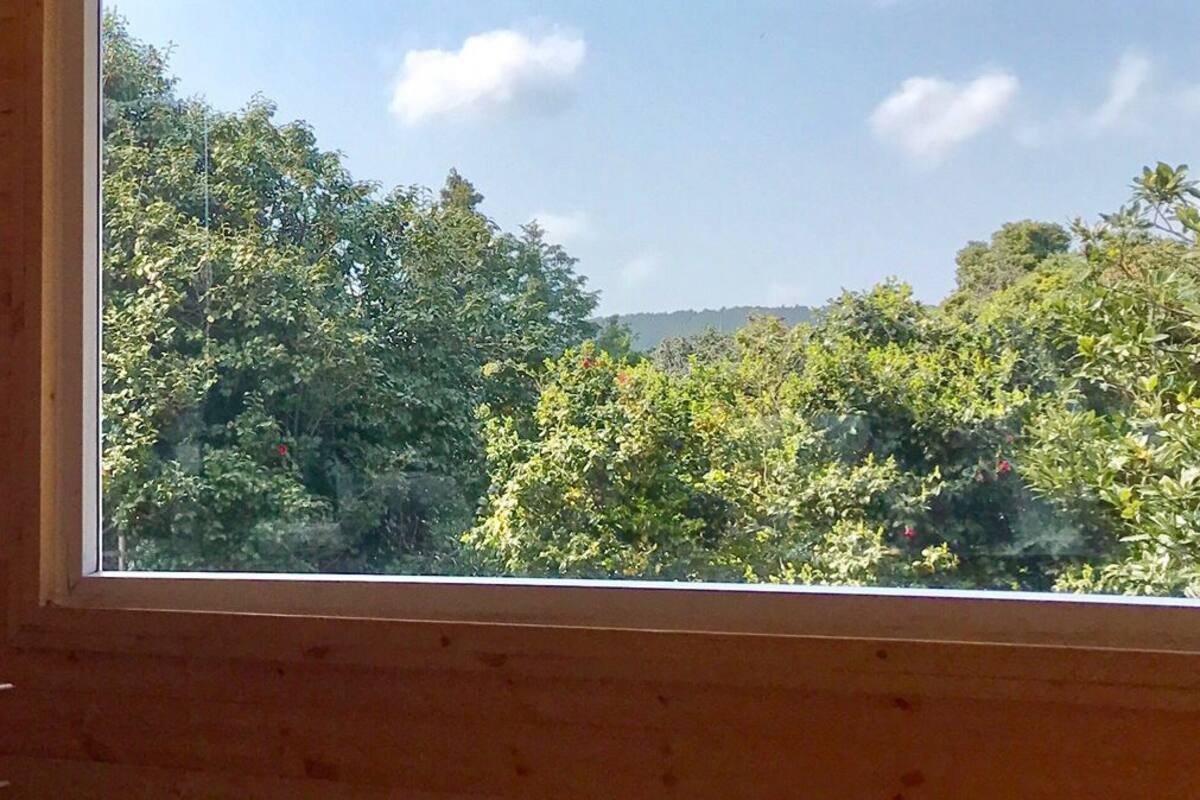 Duplex (Grujam) | View from room