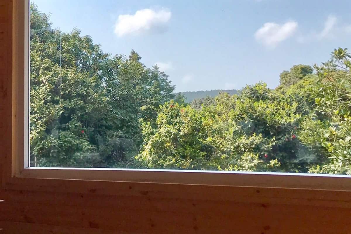 Duplex (Grujam) | View from room