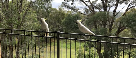 Comfort-Haus, 2 Schlafzimmer, Talblick | Balkon