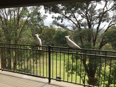 Kookaburra Retreat