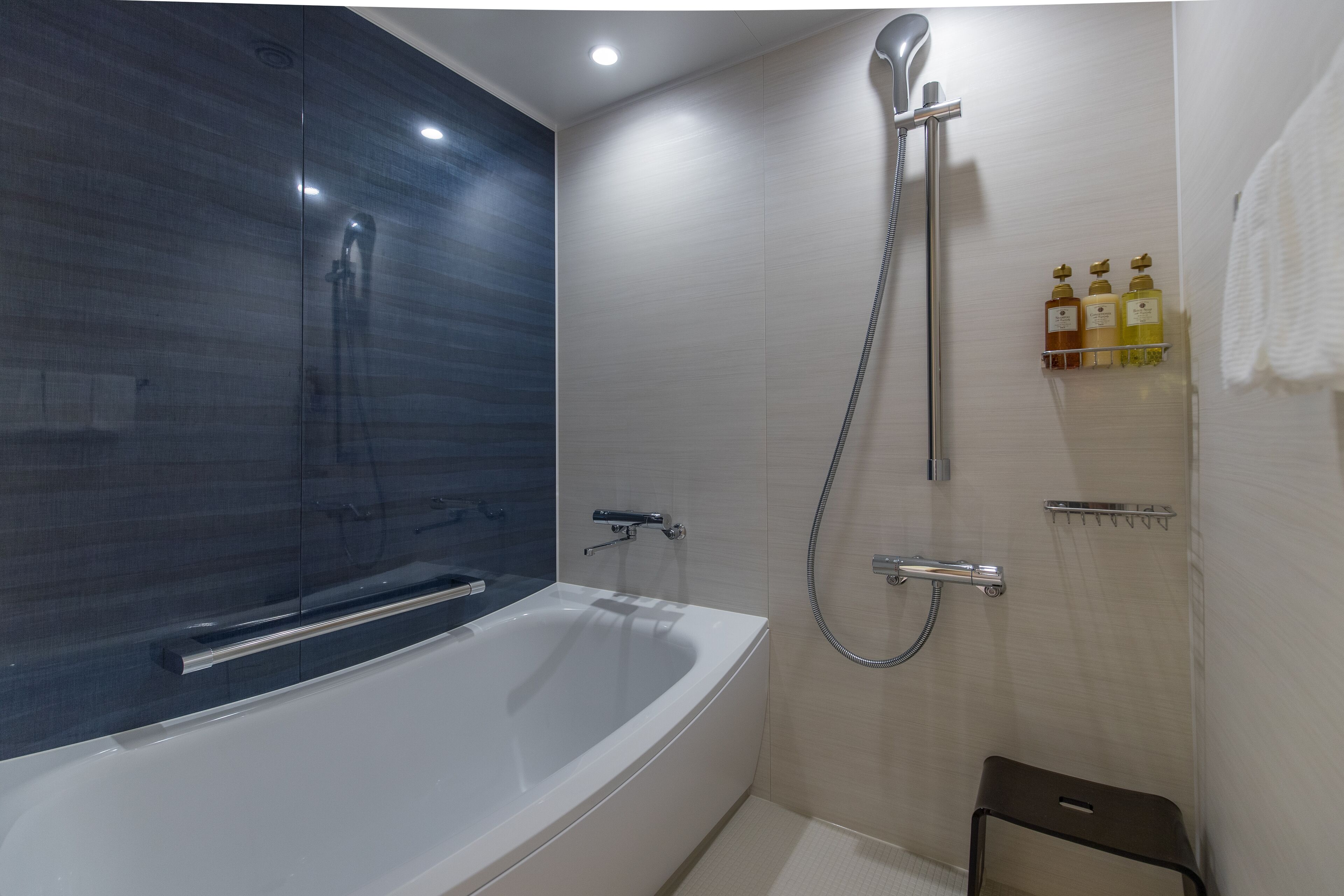 free toiletries, hair dryer, slippers, electronic bidet