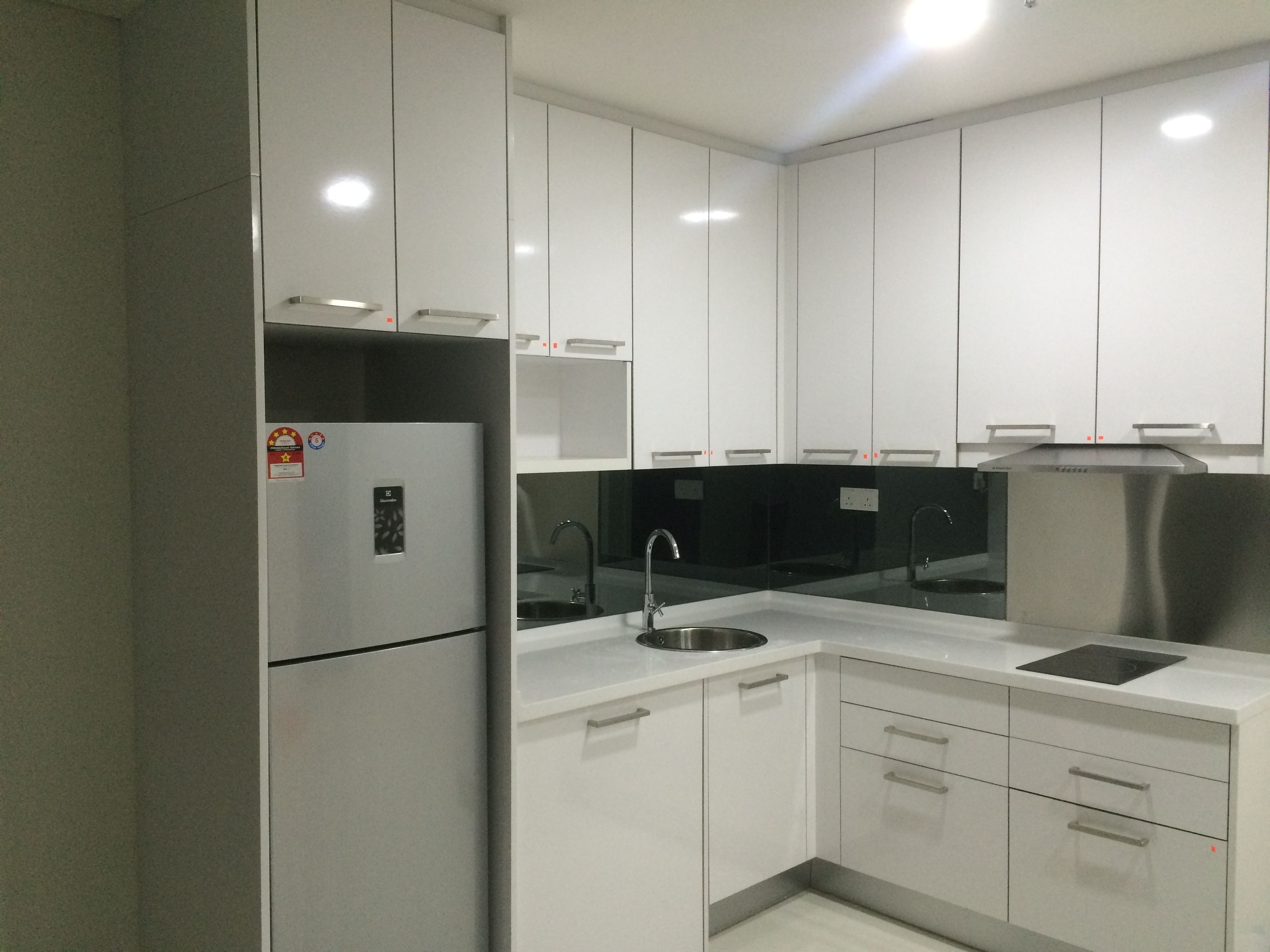 Full-sized fridge, microwave