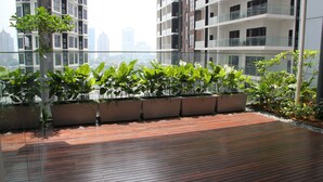 Eine moderne Wohnung mit Balkon, bepflanzten Kübeln und einer Holzterrasse.