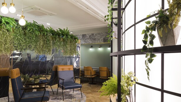 A modern hotel lobby with a seating area, plants, and a large window. - The Capsule Hotel - Hostel (Haymarket)