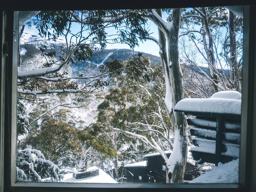 A snowy landscape with trees and a mountain in the background.
