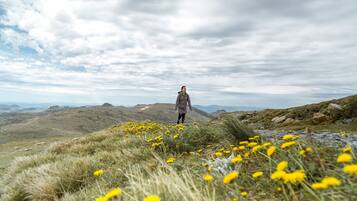 Una persona de pie en una colina cubierta de pasto y flores amarillas, con vistas a un paisaje montañoso.