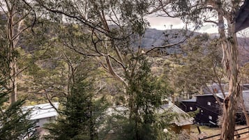 Une vue d’une zone boisée avec un bâtiment doté d’un toit en pente et d’une cheminée visible.