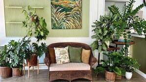 Un sofá de mimbre con cojines, rodeado de plantas en macetas, en una habitación con una pared verde y un cuadro.