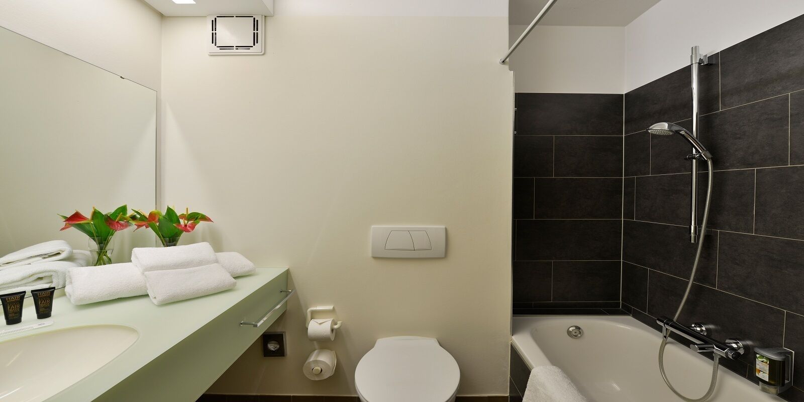 classic double room, 2 single beds, non smoking | bathroom | hair dryer, towels