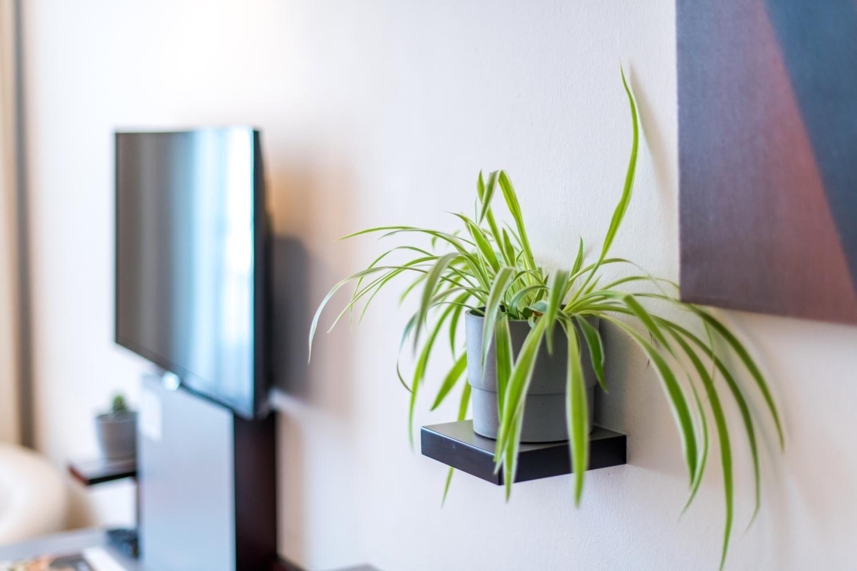 1 bedroom, in-room safe, desk, blackout curtains