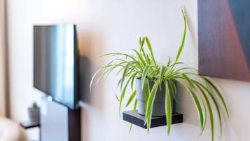 A potted plant on a wall-mounted shelf in a modern room with a flat-screen TV.