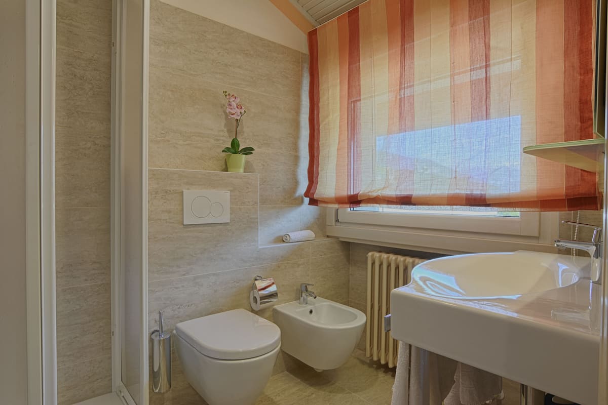double room, lake view | bathroom | shower, free toiletries, towels