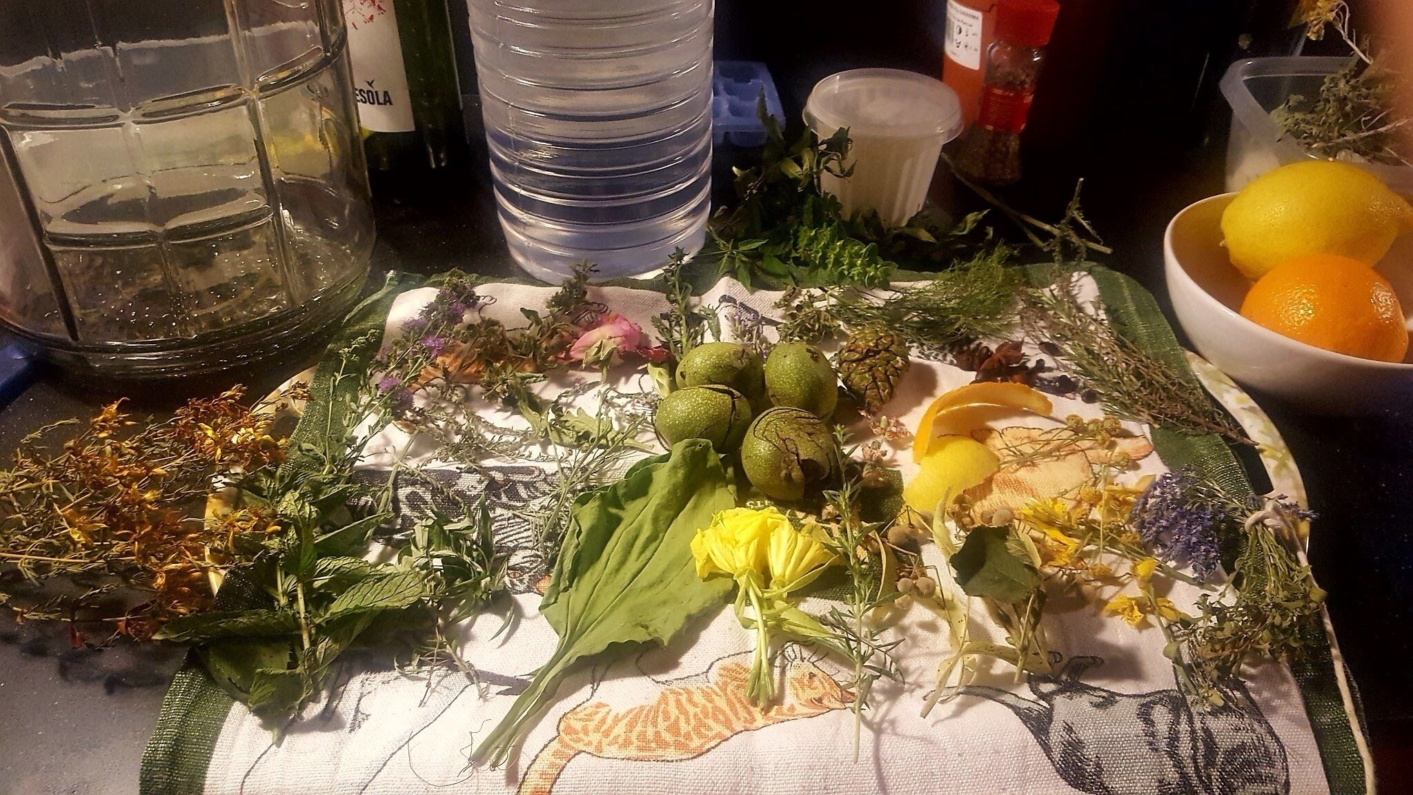Una mesa con diversas hierbas, un bol de naranjas y una botella de vino.