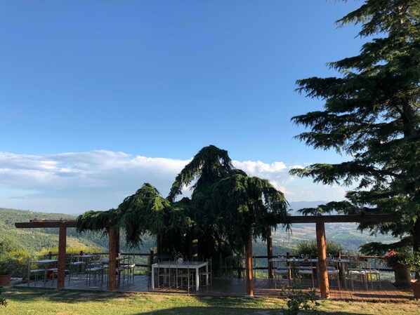 Un área de comedor al aire libre con mesas y sillas, rodeada de árboles y vistas al campo.