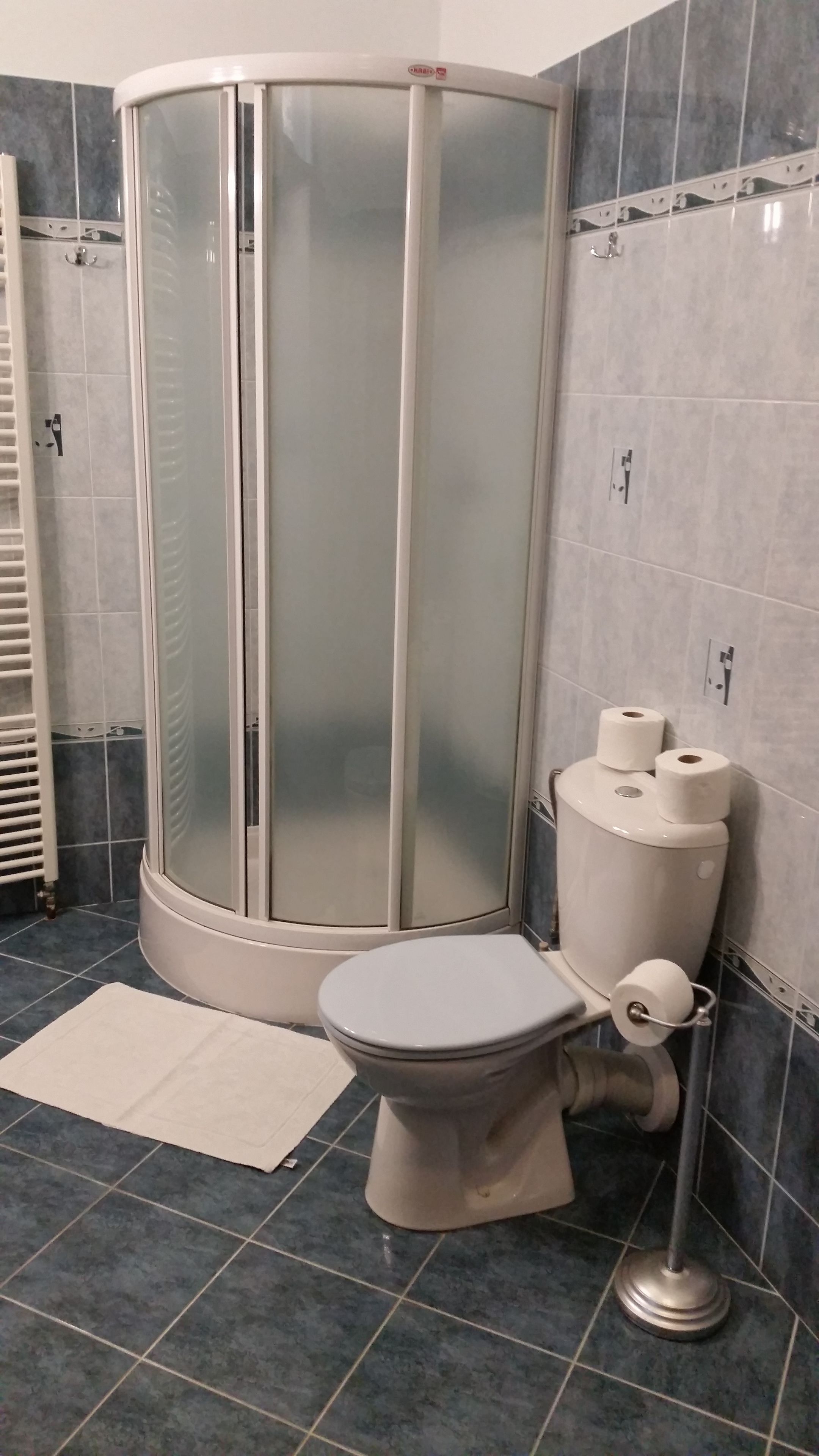 A bathroom with a corner shower enclosure, a toilet, and a bidet.