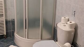 A bathroom with a corner shower enclosure, a toilet, and a bidet.