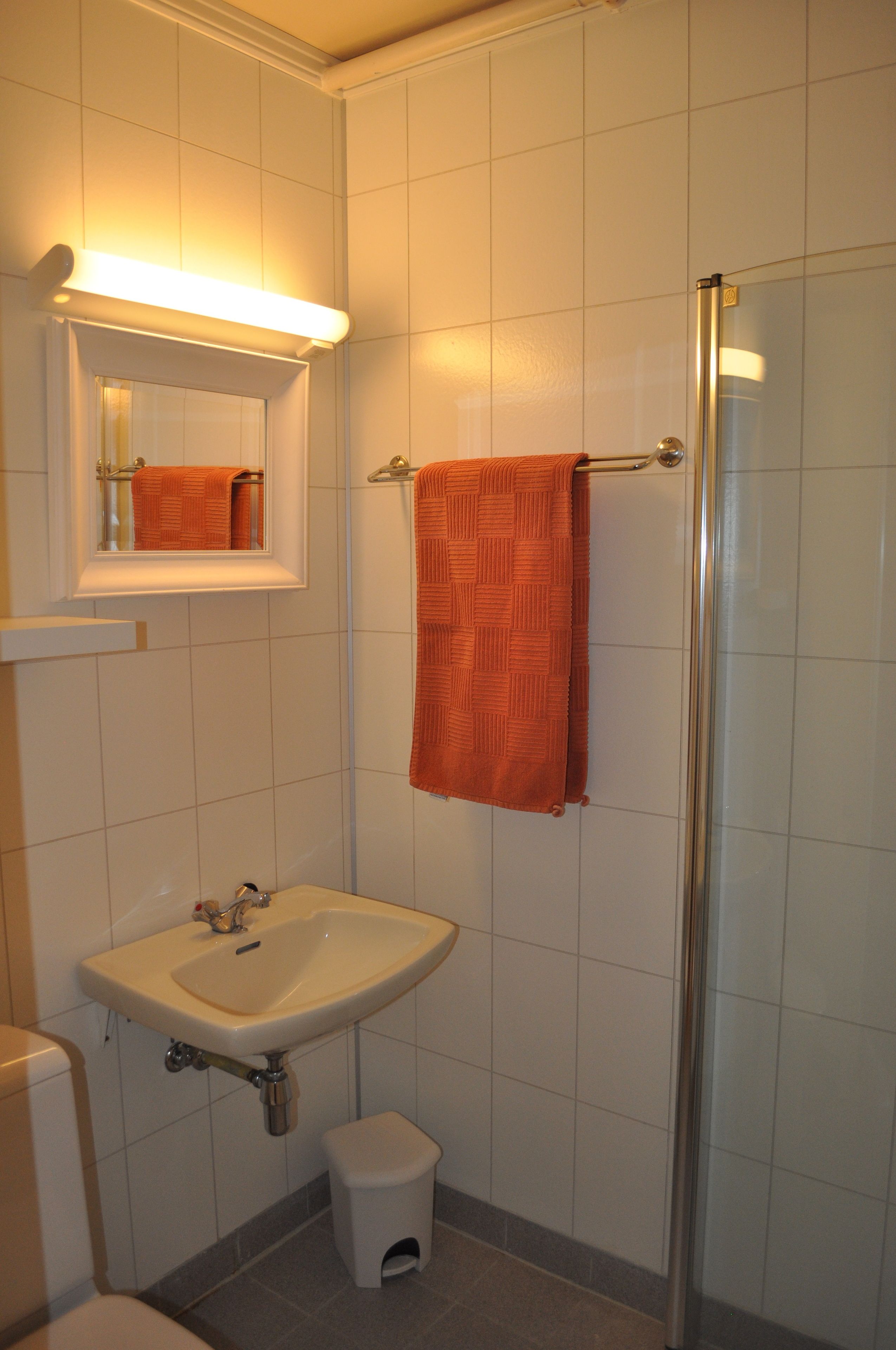 A bathroom with a sink, mirror, towel rack, and a shower.