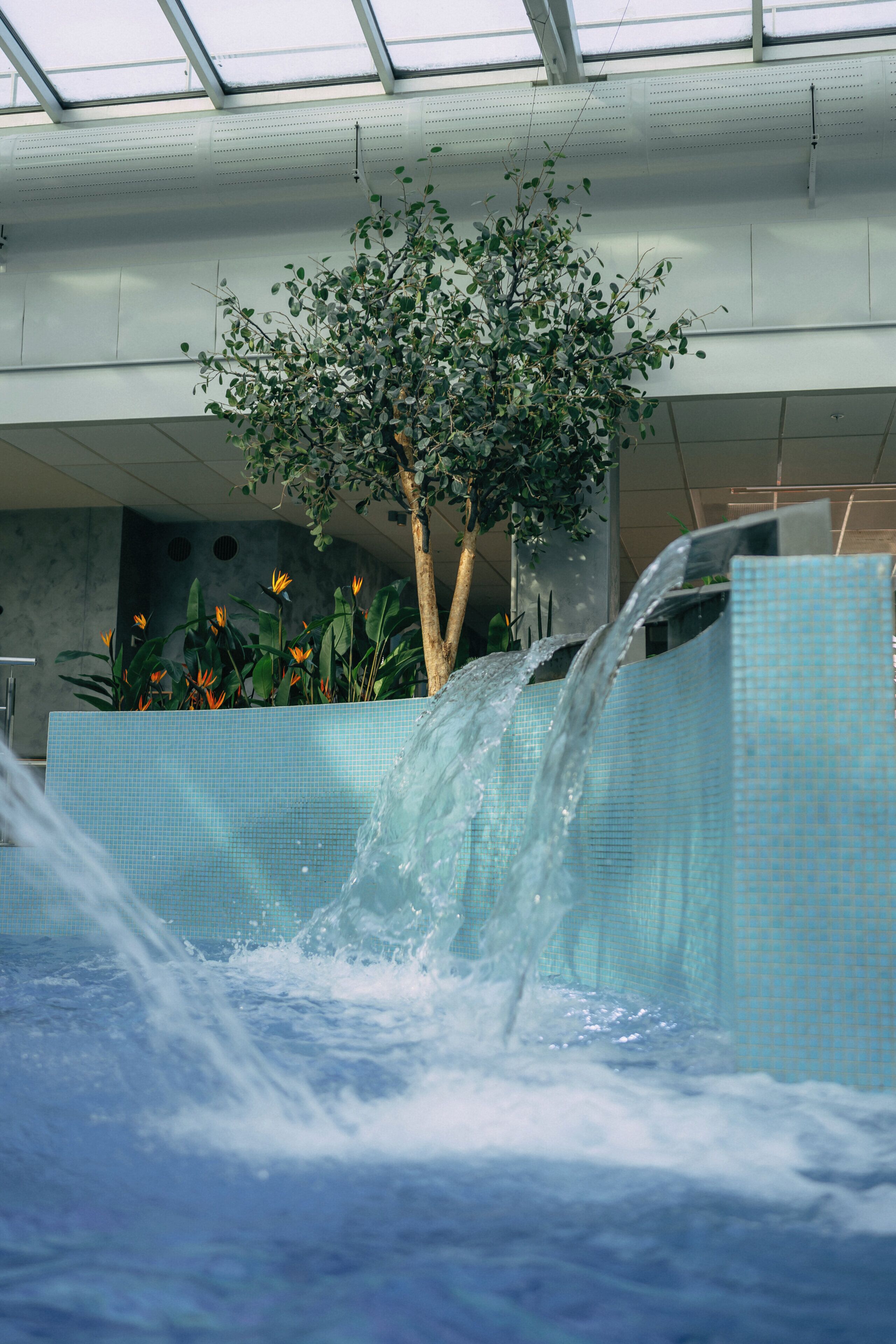 Foto - V Spa & Conference Hotel