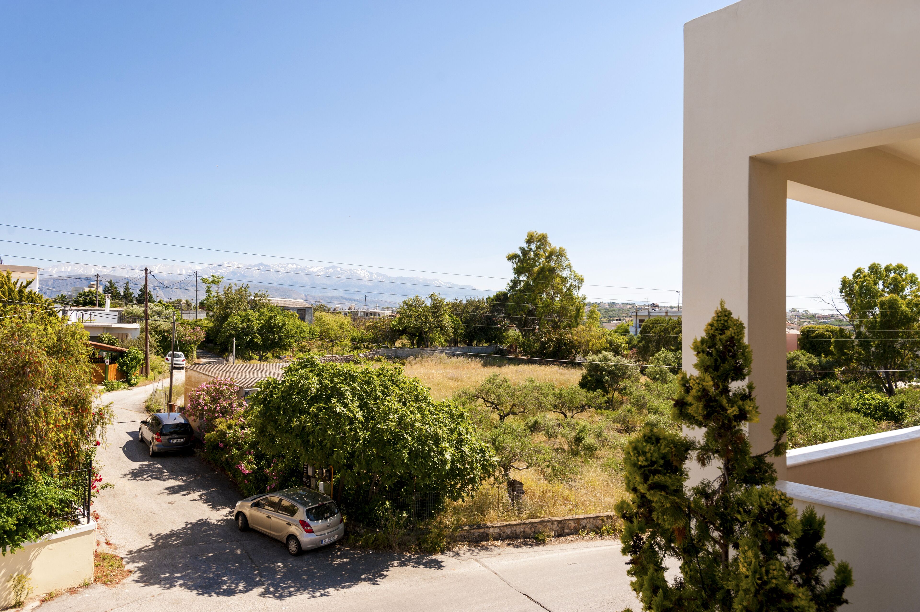 A residential street with parked cars, trees, and a clear view of distant mountains.