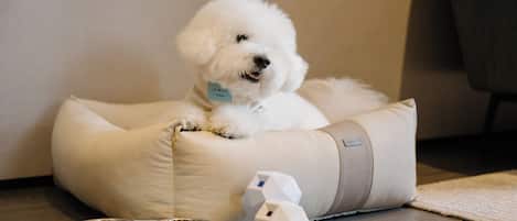 Een witte, pluizige hond in een beige hondenmand met een tag, twee metalen bakken en een wit speeltje op een houten vloer.