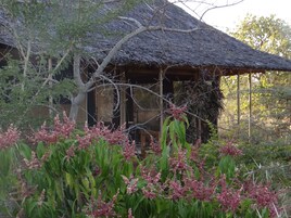 Jardín