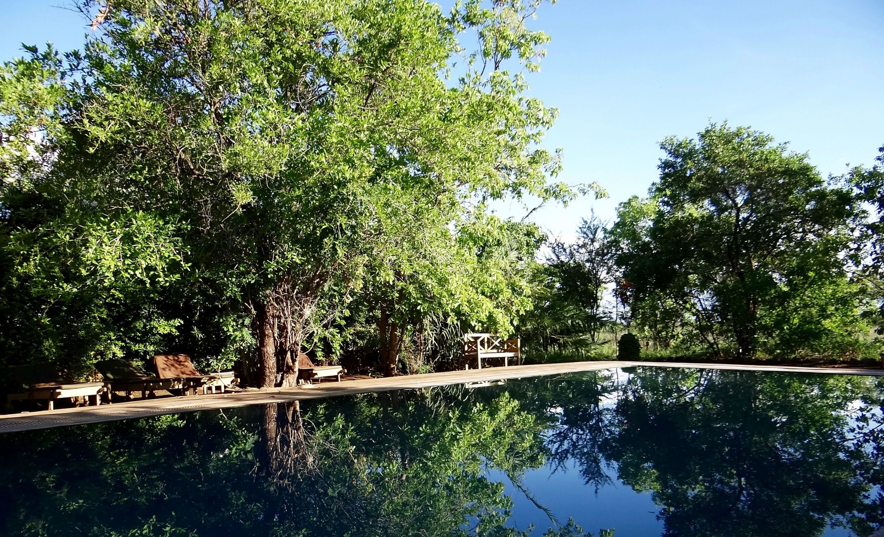 Outdoor pool, pool umbrellas, sun loungers
