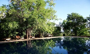Piscine extérieure, parasols de plage, chaises longues