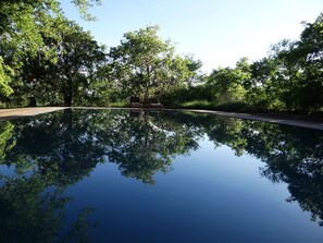 Outdoor pool, pool umbrellas, sun loungers