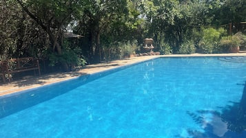 Piscine extérieure, parasols de plage, chaises longues