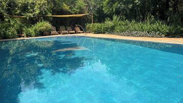 Outdoor pool, pool umbrellas, pool loungers