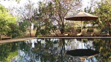 Outdoor pool, pool umbrellas, pool loungers