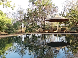 야외 수영장, 수영장 파라솔, 일광욕 의자