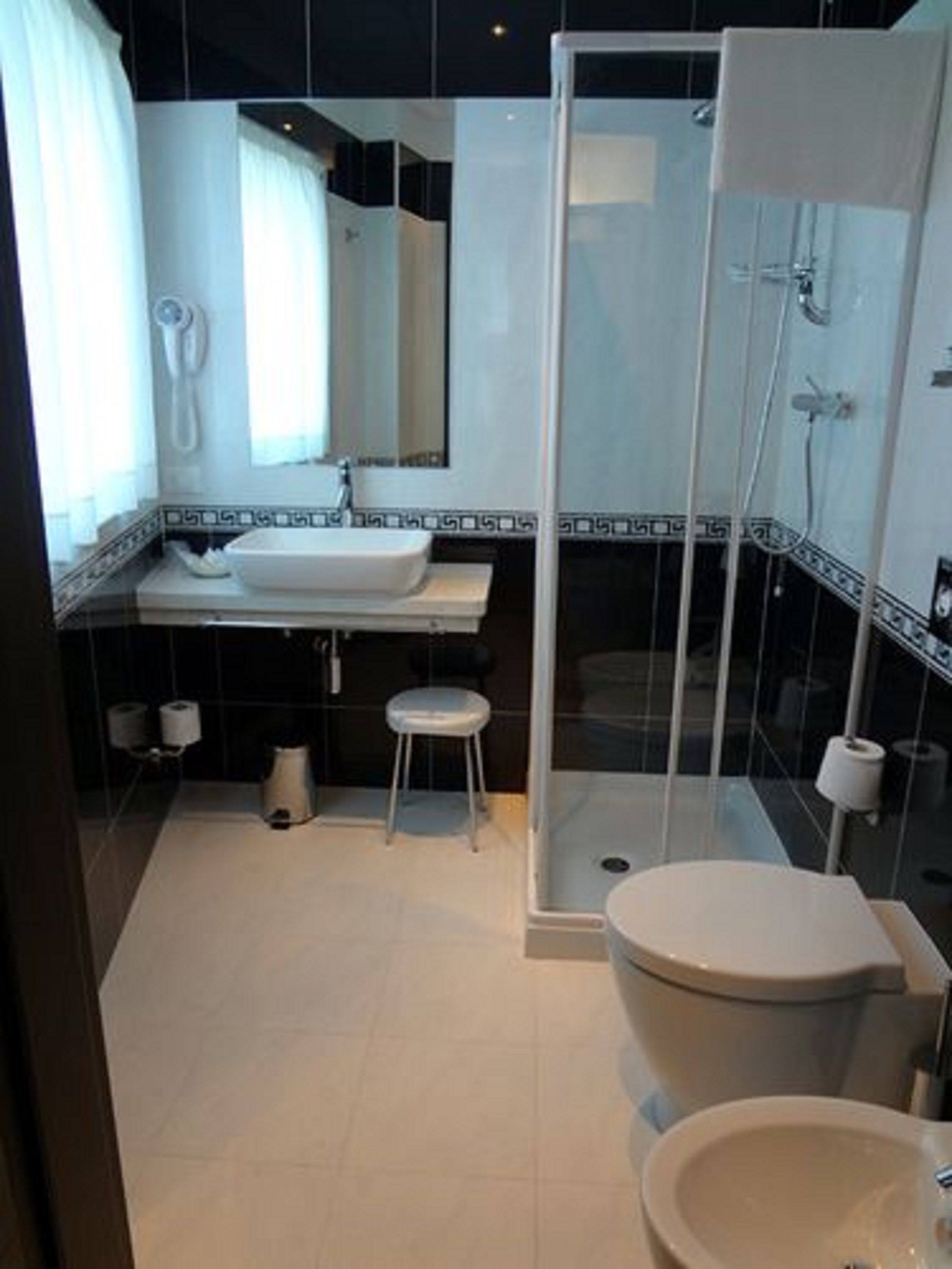 shower, hair dryer, bidet, towels