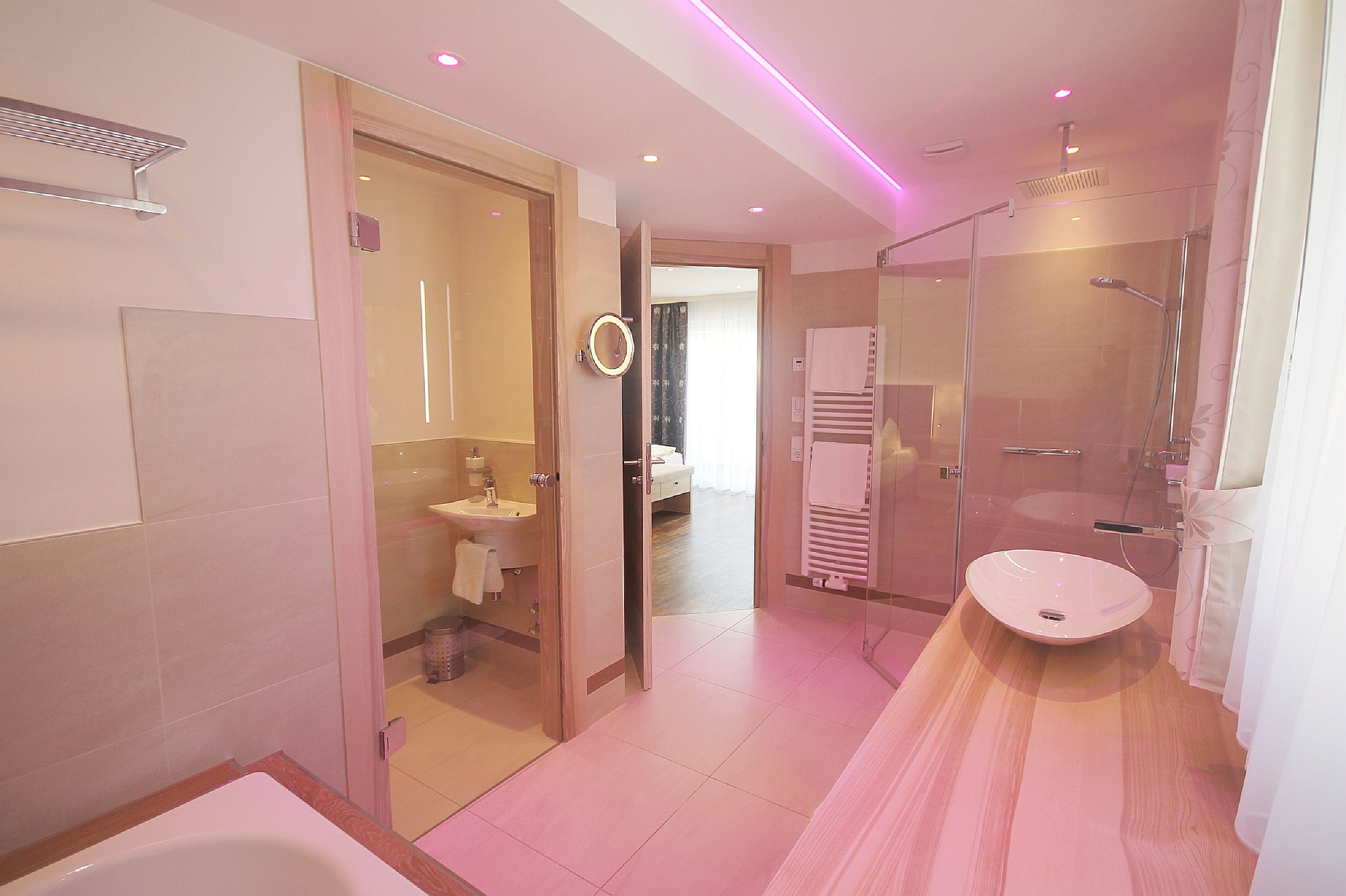 Suite | Badezimmer | Dusche, kostenlose Toilettenartikel, Haartrockner, Bademäntel
