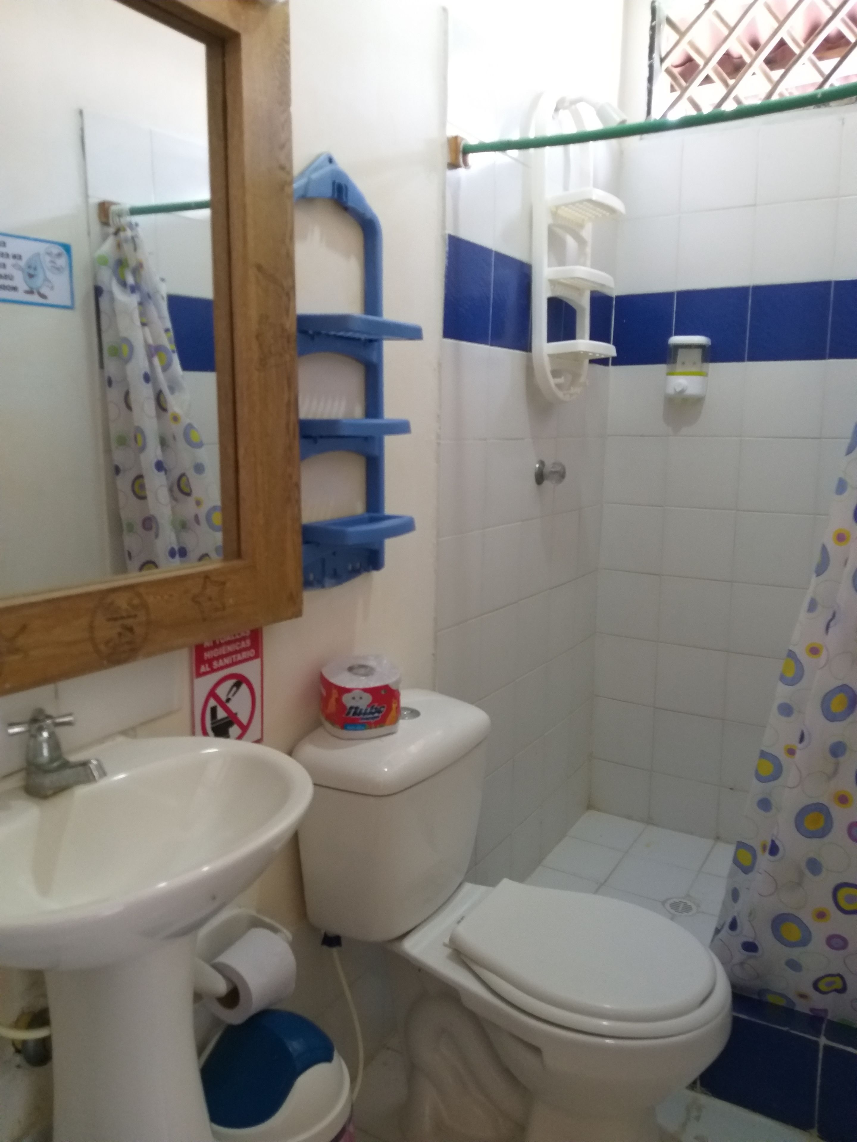 Un baño con inodoro, lavamanos y ducha.