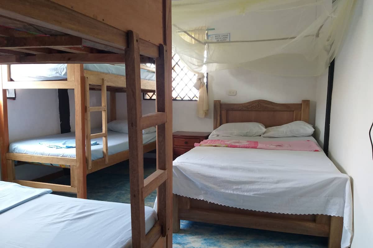 A dormitory room with bunk beds and a single bed.