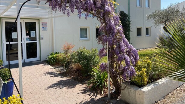 Un bâtiment à la façade blanche, doté d’une porte d’entrée en verre et d’un jardin agrémenté de glycines aux fleurs violettes.