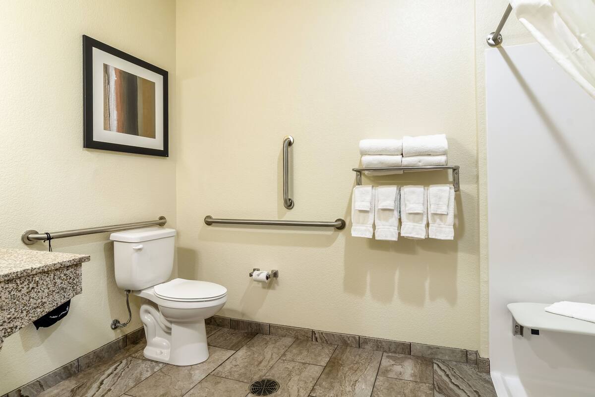 room, 1 king bed, accessible | bathroom | free toiletries, hair dryer, towels, soap
